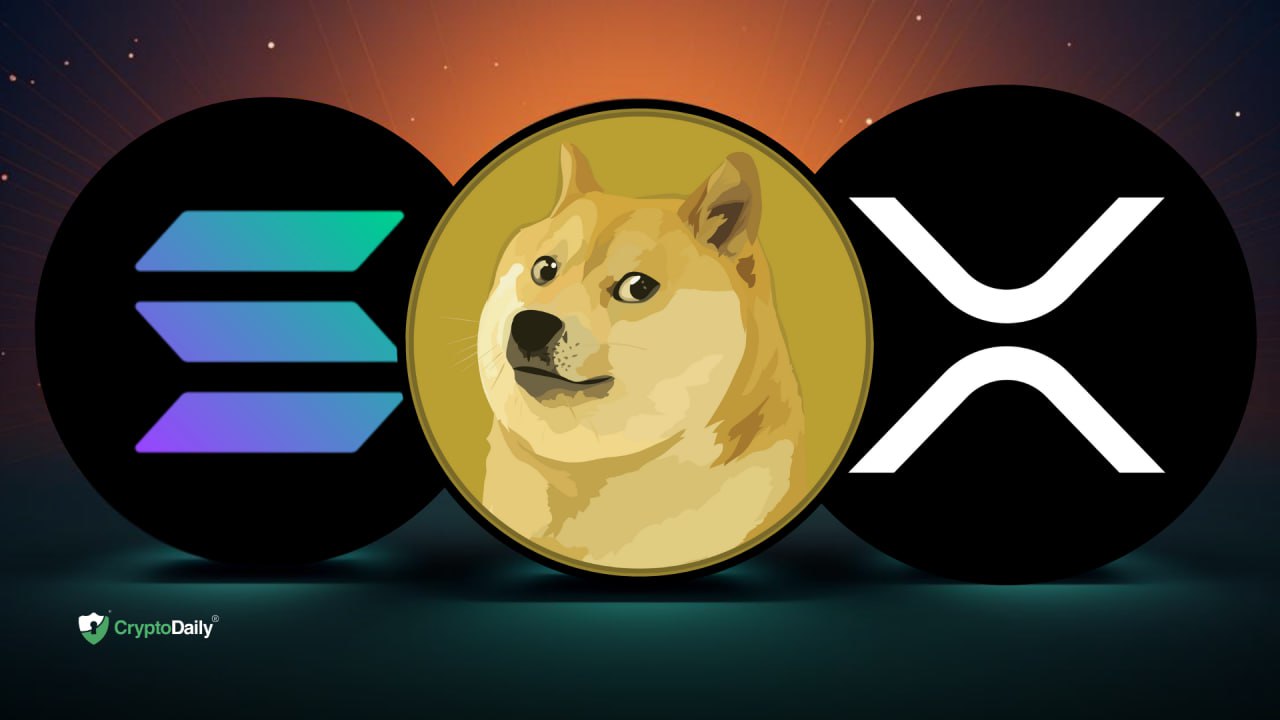 Ahead Of 2024: Are Ripple (XRP), Solana (SOL), And Dogecoin (DOGE) The ...